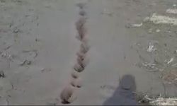 Elazığ Palu'da zemin sıvılaşması yaşandı
