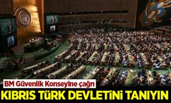 Türkiye'den BM Güvenlik Konseyine çağrı