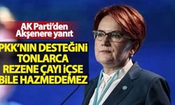 Ömer Çelik'ten Meral Akşener'e yanıt
