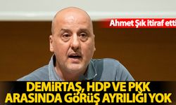 Ahmet Şık: HDP ile PKK arasında görüş ayrılığı yok!