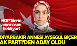 Diyarbakır annesi Ayşegül Biçer AK Parti'den 4. sıradan aday oldu