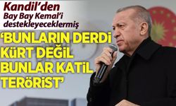 Cumhurbaşkanı Erdoğan: Bunların derdi Kürt değil, bunlar terörist