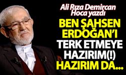 Ali Rıza Demircan'dan Erdoğan muhaliflerine kritik bir soru geldi