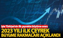 Türkiye'nin ilk çeyrekte büyüme rakamları açıklandı
