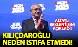 Kılıçdaroğlu neden istifa etmedi? Fatih Altaylı beklentisini açıkladı...
