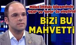 Millet İttifakı bileşeninden 'HDP' öz eleştirisi: 'Bizi mahvetti'