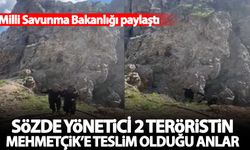 2 teröristin Mehmetçik'e teslim olduğu anlar