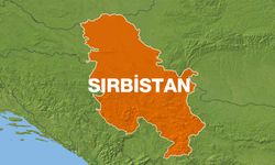 9 kişinin öldüğü ilkokul saldırısının ardından Sırp bakan istifa etti