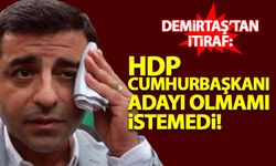 Demirtaş'tan itiraf: HDP cumhurbaşkanı adayı olmamı istemedi