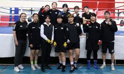 Güney Kore Türk boksörlerin tecrübesinden faydalanıyor