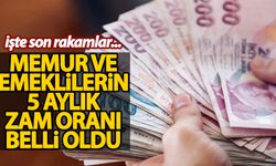 Memur ve emekliler için 5 aylık zam oranları belli oldu