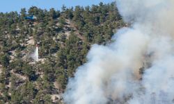 Bolu'da yıldırım düşmesi sonucu çıkan orman yangınına müdahale sürüyor