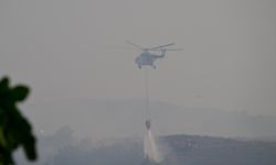 Beykoz’da çıkan orman yangını söndürüldü