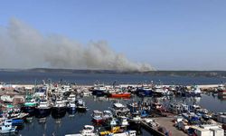 Beykoz'da iki farklı noktada orman yangını