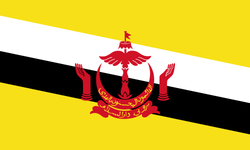 Brunei'nin genel özellikleri! Brunei'nin tarihi, coğrafi özellikleri, nüfusu...