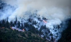 İsviçre'de üç gündür devam eden orman yangınını söndürme çalışmaları sürüyor