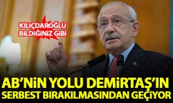 Kılıçdaroğlu: AB'nin yolu Demirtaş'ın serbest bırakılmasından geçiyor