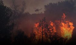 Yunanistan yangınla mücadele ediyor: Rodos'tan sonra Korfu Adası'nda da orman yangını
