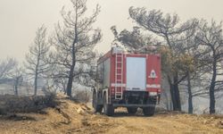 Yunanistan'ın Korfu Adası'nda orman yangını