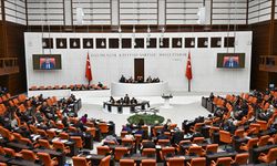 Türk Yatırım Fonu Anlaşması TBMM'de kabul edildi
