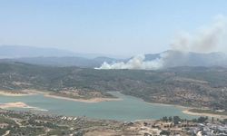 Muğla'da orman yangını: Havadan ve karadan müdahale sürüyor