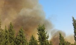 İzmir Kınık'ta orman yangınına müdahale sürüyor