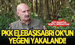PKK elebaşlarından Sabri Ok'un yeğeni yakalandı!