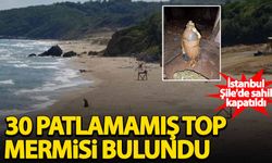 İstanbul Şile'de sahil kapatıldı! 30 top mermisi bulundu