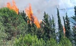 Kağıthane'de ormanlık alanda yangın