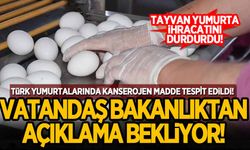 Türk yumurtalarında kanserojen madde tespit edildi! Tarım ve Orman Bakanlığı bu iddiaya bir cevap verecek mi?