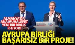 Almanya'nın ana muhalefet partisi AfD: Avrupa Birliği başarısız bir proje!