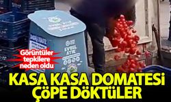 İstanbul'da market çalışanları kasa kasa domatesleri çöpe attı!