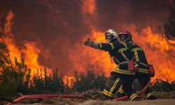 Fransa, 500 hektarlık orman yangınını halktan bildi: Sorumlusu sizsiniz!