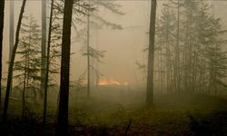 Rusya’da yangınlarla mücadele sürüyor