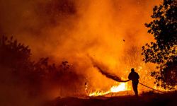 Güney Kıbrıs orman yangını ile mücadelede konusunda KKTC'nin yardımını geri çevirdi!