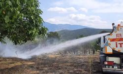 Sinop'ta 3 dekar alan yandı