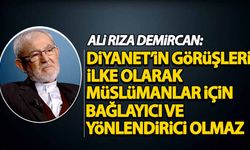 Ali Rıza Demircan: Diyanet’in görüşleri ilke olarak Müslümanlar için bağlayıcı ve yönlendirici olamaz