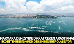 Bilim insanlarından Marmara Denizi'nde dikkat çeken araştırma!