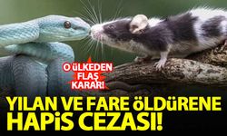 İspanya'da yılan ve fare öldürene hapis cezası!