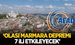 'Olası Marmara depremi 7 ili etkileyecek'