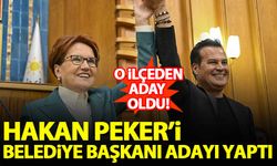 Akşener, Hakan Peker'i belediye başkan adayı yaptı!