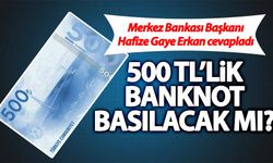 Merkez Bankası Başkanı Hafize Gaye Erkan cevapladı! 500 TL'lik banknot ve paradan sıfır atma olacak mı?
