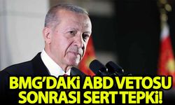 Başkan Erdoğan'dan BMGK'daki ABD vetosu sonrası sert tepki