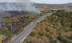 Edirne'de yol kenarında çıkan yangın söndürüldü