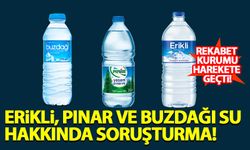 Rekabet Kurumu'ndan Erikli, Pınar ve Buzdağı su hakkında soruşturma