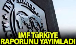 IMF, Türkiye raporunu açıkladı
