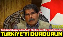 Terörist elebaşlarından Salih Müslim Batı'dan medet umdu: Türkiye'yi durdurun