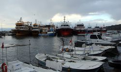 Sinop'ta yük gemileri fırtına nedeniyle doğal limana sığındı