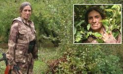 MİT'ten nokta operasyon: PKK/KCK'nın sözde sorumlusu etkisiz hale getirildi