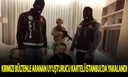 Kırmızı bültenle aranan uyuşturucu karteli İstanbul'da yakalandı